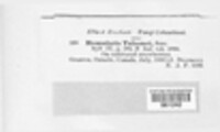 Image Associated With the Occurence